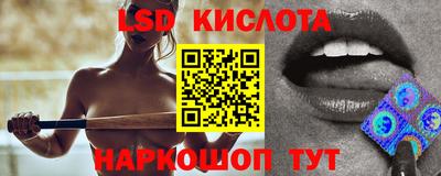 спиды Донской