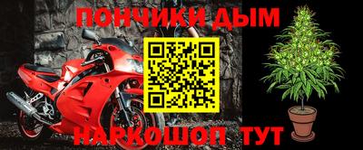 спиды Донской