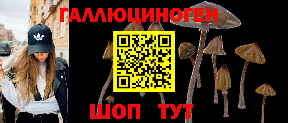 Псилоцибиновые грибы GOLDEN TEACHER  купить закладку  Ликино-Дулёво  Вход с VPN 